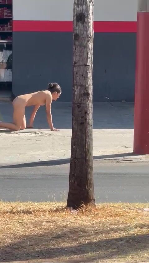 Brazilian Whore Caught Walking on All Fours After Consuming Substances